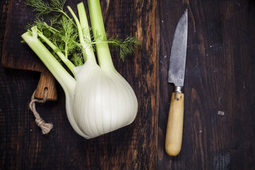 Fennel corm on chopping board, kitchen knife - SBDF002730