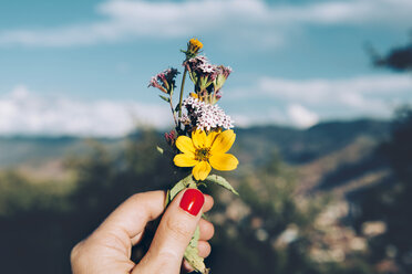 Woman's hand with red nails holding a small bouquet of wild flowers - GEMF000784