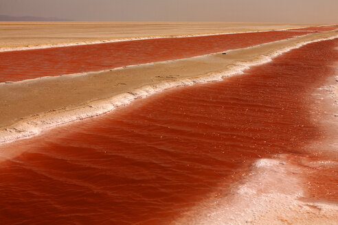 Tunesien, bei Tozeur, Chott El Jerid, Salzsee - DSGF001059