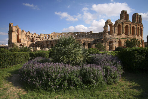 Tunesien, Kolosseum in El Djem - DSGF001071