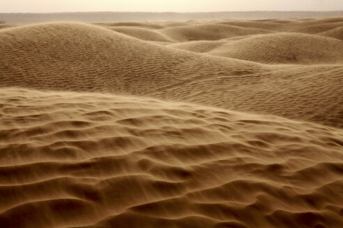 Tunisia, Sand dunes in the Sahara desert, Great Eastern Erg - DSGF001080