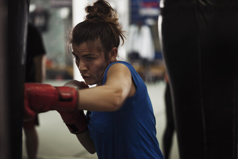 Weiblicher Boxer trainiert am Boxsack - ZEDF000059