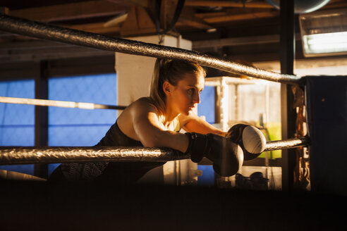 Weiblicher Boxer macht eine Pause - ZEDF000070