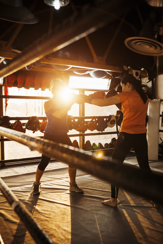 Zwei Boxerinnen kämpfen im Ring, lizenzfreies Stockfoto