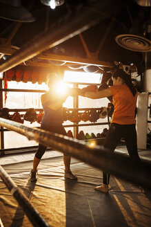 Zwei Boxerinnen kämpfen im Ring - ZEDF000073