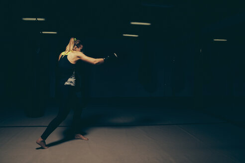 Weiblicher Boxer beim Training - ZEDF000075