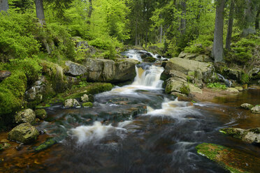 Deutschland, Niedersachsen, Harz, Wasserfall des Bergbachs Warme Bode, Unterer Bodefall - RUEF001646