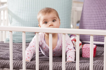 Baby in playpen - DSF000629