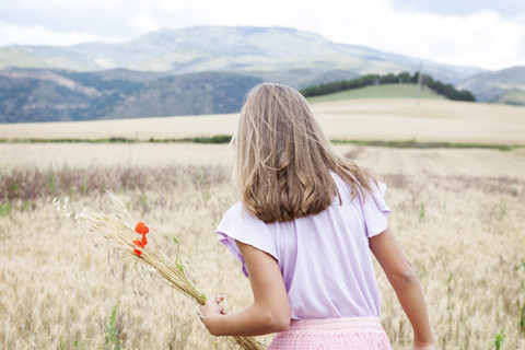 Spanien, Girona, Rückenansicht eines Mädchens beim Blumenpflücken auf einer Wiese, lizenzfreies Stockfoto