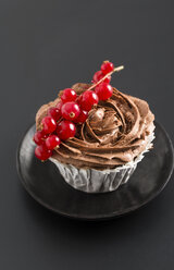 Cupcakes with chocolate cream and currants - MYF001385