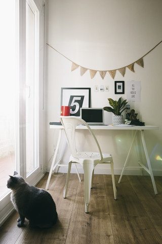 Arbeitsplatz im Heimbüro mit Katze, die aus dem Fenster schaut, lizenzfreies Stockfoto