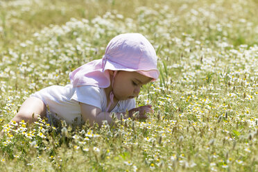 Kleines Mädchen auf Blumenwiese - DSF000636