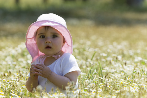 Kleines Mädchen sitzt auf einer Blumenwiese, lizenzfreies Stockfoto