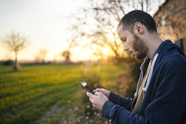 Mann tippt auf einem Smartphone in einer grünen Wiese bei Sonnenuntergang - GEMF000787