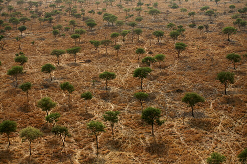 Tschad, Zakouma-Nationalpark, Luftaufnahme eines Akazienwaldes in der Savanne - DSGF001109