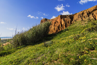 Portugal, Algarve, Vilamoura, cliff coast, beach Praia da Falesia - THAF001572