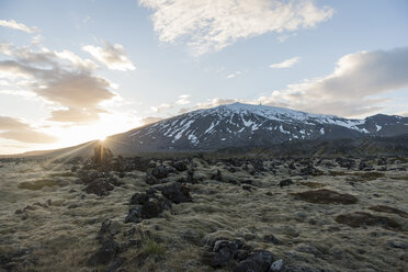 Iceland, Snaefellsjoekull, volcano - PAF001654