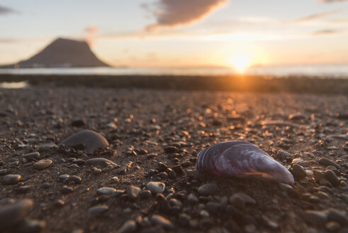Island, Snæfelsnes, Strand mit Steinen und Muscheln bei Sonnenuntergang - PAF001662