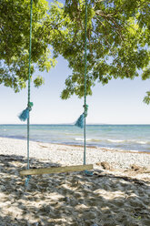 Dänemark, Schaukel in einem Baum am Strand - OJF000121