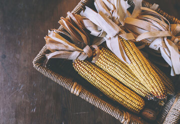 Dried corn cobs on a wooden table - GEMF000792