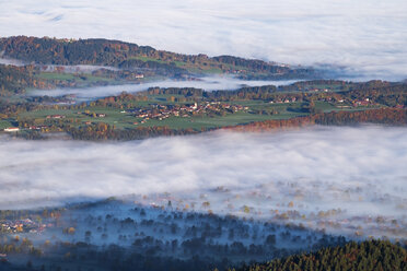 Germany, Upper Bavaria, Wackersberg, morning fog in Isar valley, View from Geierstein - SIEF006983