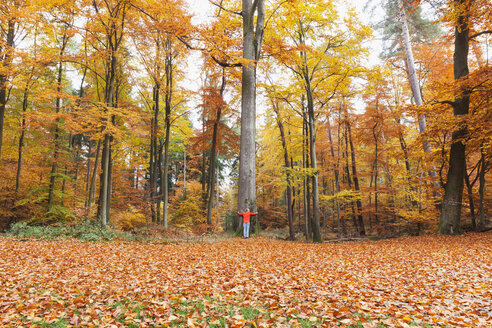 Deutschland, Rheinland Pfalz, Frau umarmt Baum im herbstlichen Pfälzerwald - GWF004650