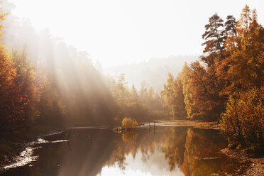 Deutschland, Rheinland-Pfalz, Ungeheuersee im herbstlichen Pfälzerwald bei Dunst - GWF004651