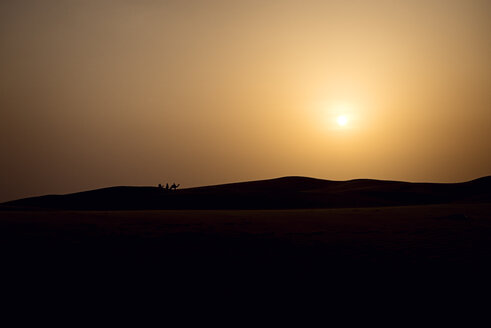 India, Rajastan, sunset n the desert - BMAF000128