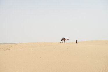 Mann führt Kamel durch Wüste - BMA000136