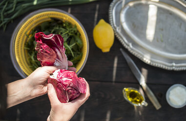 Radicchio-Salat und Babyspinat, Rucola und Kopfsalat, Dressing aus Joghurt, Olivenöl und Zitrone - DEGF000697