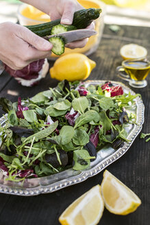Frühlingssalat aus Babyspinat, Kräutern, Rucola und Kopfsalat, Gurke in Scheiben geschnitten - DEGF000698