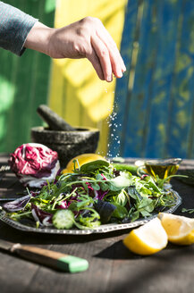 Frühlingssalat aus Babyspinat, Kräutern, Rucola und Kopfsalat, mit Salz gewürzt - DEGF000700
