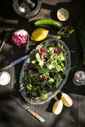 Spring salad of baby spinach, herbs, arugula and lettuce, dressing of yogurt, olive oil, honey and lemon - DEGF000701