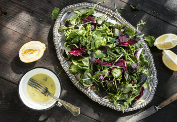 Frühlingssalat aus Babyspinat, Kräutern, Rucola und Kopfsalat, Dressing aus Joghurt, Olivenöl, Honig und Zitrone - DEGF000706