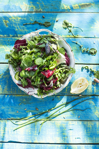 Frühlingssalat aus Babyspinat, Kräutern, Rucola und Kopfsalat, lizenzfreies Stockfoto