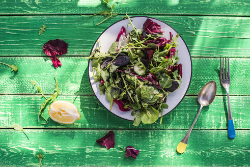 Frühlingssalat aus Babyspinat, Kräutern, Rucola und Kopfsalat - DEGF000713