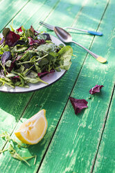 Frühlingssalat aus Babyspinat, Kräutern, Rucola und Kopfsalat - DEGF000714