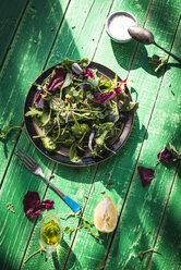 Frühlingssalat aus Babyspinat, Kräutern, Rucola und Kopfsalat, Dressing aus Joghurt, Olivenöl und Zitrone - DEGF000715
