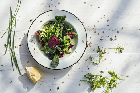 Frühlingssalat mit Babyspinat, Kräutern, Rucola und Kopfsalat auf Teller, Zitrone - DEGF000716