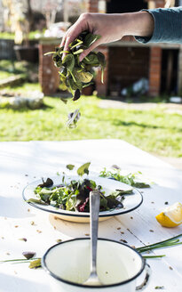 Frühlingssalat aus Babyspinat, Kräutern, Rucola und Kopfsalat, Zubereitung - DEGF000718