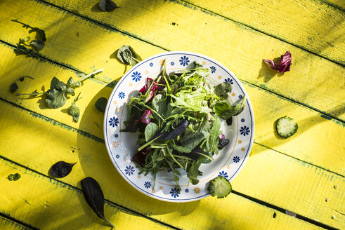 Frühlingssalat aus Babyspinat, Kräutern, Rucola und Kopfsalat, gelbes Holz - DEGF000719