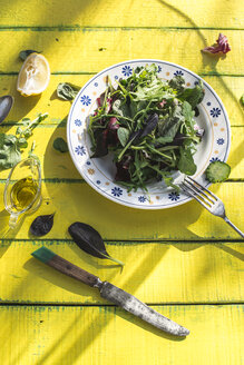 Frühlingssalat aus Babyspinat, Kräutern, Rucola und Kopfsalat auf einem Teller, Olivenöl und Zitrone - DEGF000720