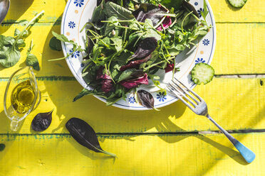 Spring salad of baby spinach, herbs, arugula and lettuce on plate, olive oil - DEGF000721