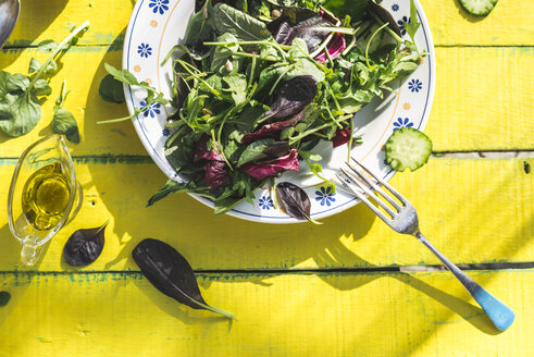 Frühlingssalat mit Babyspinat, Kräutern, Rucola und Kopfsalat auf dem Teller, Olivenöl - DEGF000721