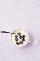 Bowl of custard with two tea spoons garnished with heart of blueberries - MYF001417