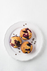 Muffin mit Schokoladenstückchen, Blaubeeren und Himbeeren auf dem Teller - MYF001423