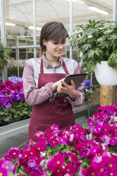 Young female gardener working in greenhouse with tablet pc - ALBF000041