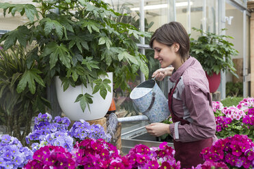 Junge Gärtnerin bei der Arbeit im Gewächshaus, Blumen gießen - ALBF000043