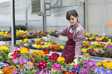Junge Gärtnerin bei der Arbeit im Gewächshaus, Blumenkasten - ALBF000044
