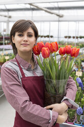 Junge Gärtnerin bei der Arbeit im Gewächshaus, hält Blumentopf mit Tulpen - ALBF000050